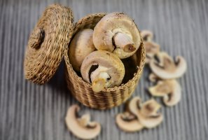 Как правильно хранить шампиньоны в домашних условиях?