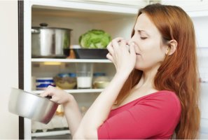 Как можно избавиться от запаха в холодильнике после тухлого мяса: самые эффективные способы
