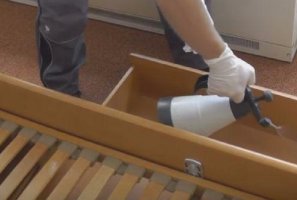 Лучшие способы самостоятельно избавиться от диванных клопов