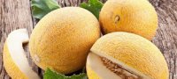Как хранить дыню в домашних условиях: лучшие способы для целых и разрезанных плодов