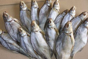 Какими методами можно солить рыбу для сушки в домашних условиях?
